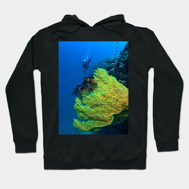 scuba diver and yellow sea fan Hoodie by likbatonboot